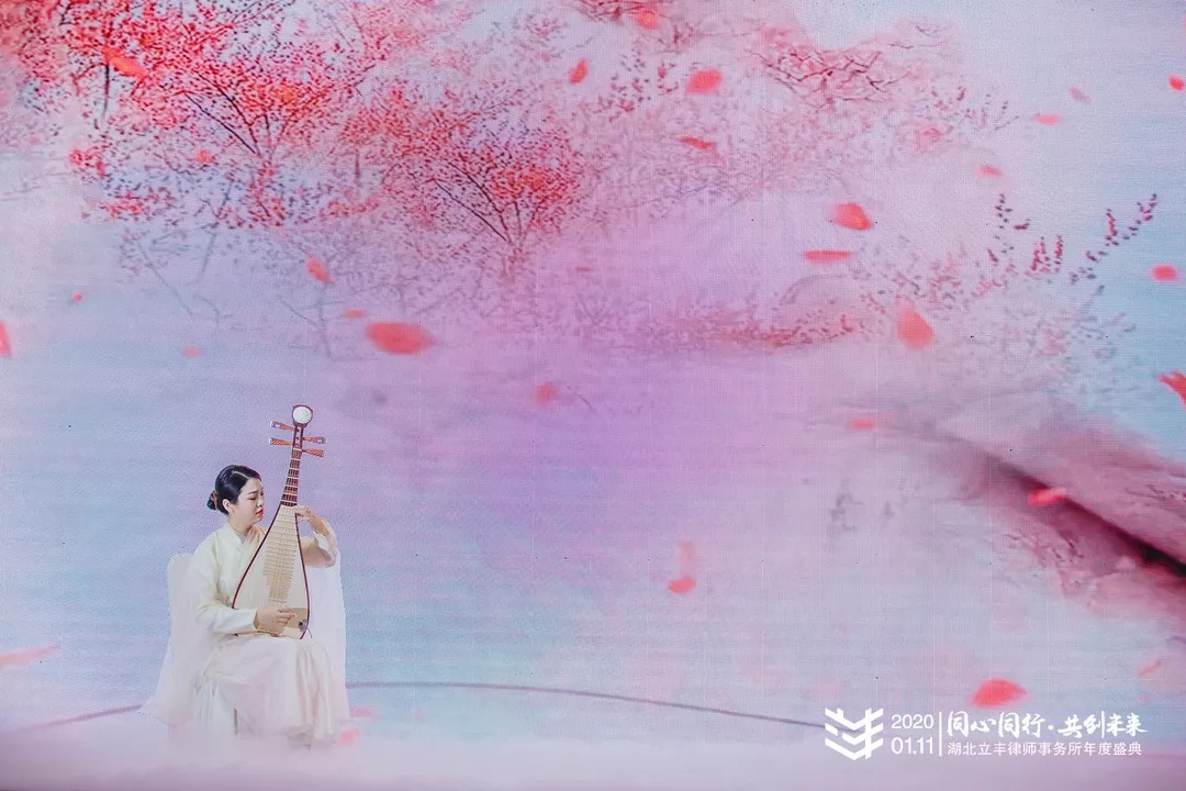 琵琶独奏《凉凉》.